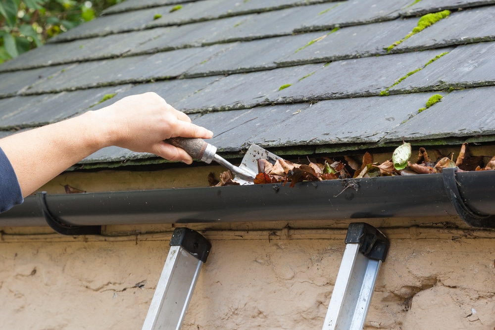 Gutter services