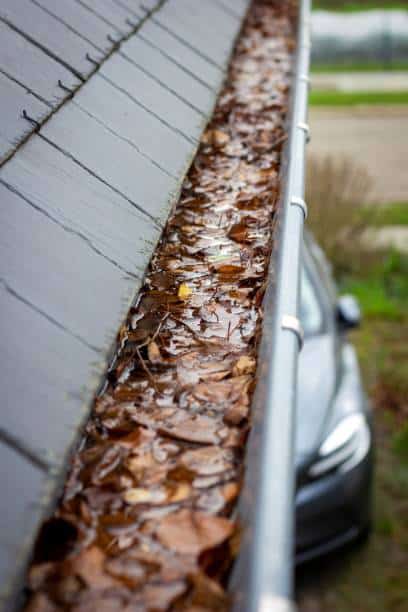 A portrait of a gutter full of autumn leaves and water next to a slate roof. The gutter is clogged and should get cleaned. Just one of the seasonal chores.