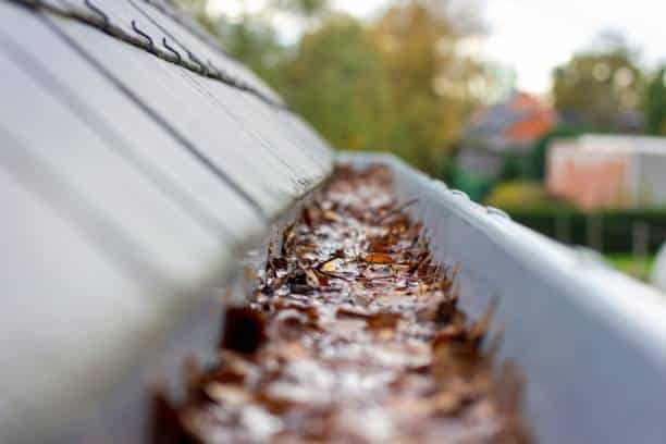 Clogged roof gutter filled with water and autumn leaves. The water cannot run away, this is a typical chore in or after autumn when all leaves have fallen.