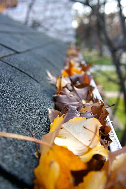 A fall tradition - cleaning the gutters of leaves. Here, we see them clogging the gutters of a traditional home. Could be used for advertising/clean up articles/etc. Narrow DOF