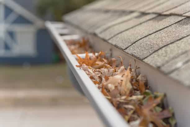 Denver Gutter Cleaning - Clogged gutter near roof shingles of residential house full of dried leaves and dirty need to clean-up. Blocked drain pipe on rooftop. Gutter cleaning and home maintenance concept