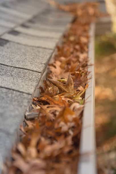 blocked-gutter-full-of-autumn-dried-leaves-and-debris-clogging-in-texas-america-10