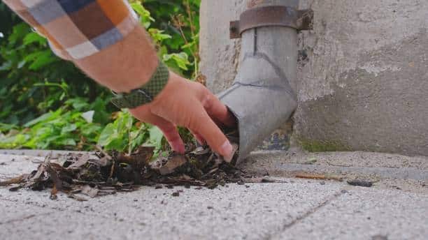 Caucasian Male Cleaning Rain Gutter Metal Chute Clogged with Withered Leaves and Roof Moss