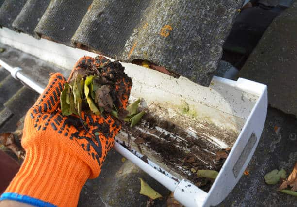 Cleaning a roof gutter with hands, removing dry leaves out of a clogged rain gutter. Roof gutter cleaning and maintenance.