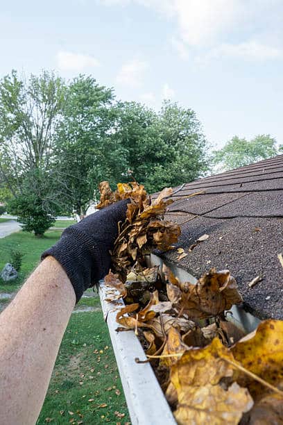 Homeowner getting dry leaves out of a gutter.