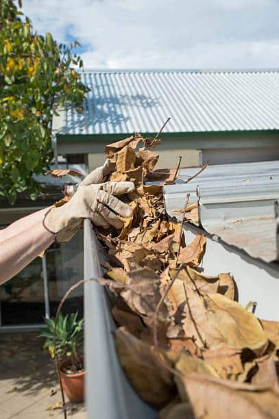 person-cleans-the-leaves-from-the-gutter-during-autumn-4