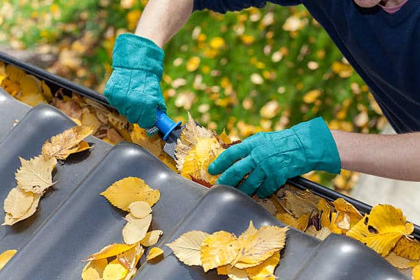 A man taking autumn leaves out of gutters