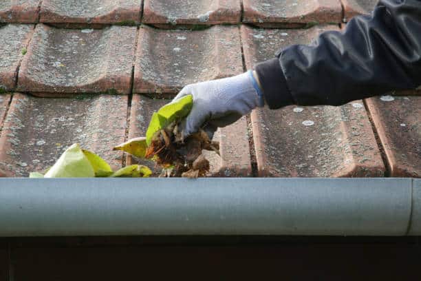 Denver Gutter Cleaning - Cleaning the gutter from autumn leaves before winter season. Roof gutter cleaning process.