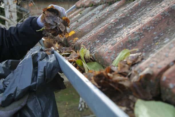 Cleaning the gutter from autumn leaves before winter season. Roof gutter cleaning process.