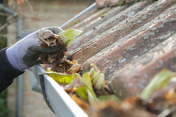 Cleaning the gutter from autumn leaves before winter season. Roof gutter cleaning process.