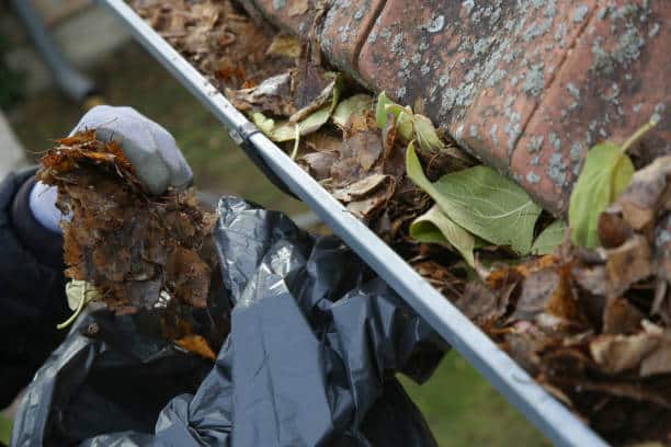 Cleaning the gutter from autumn leaves before winter season. Roof gutter cleaning process.