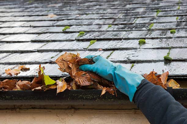 Clearing autumn gutter blocked with leaves by hand - Denver Gutter Cleaning