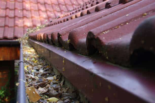 Clogged gutter through the leaves. Spring and autumn cleaning of the roof gutter - Denver Gutter Cleaning