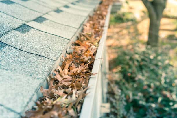 Denver Gutter Cleaning - Front yard clogged gutter near roof shingles of residential house full of dried leaves and dirty need to clean-up. Blocked drain pipe on rooftop. Gutter cleaning and home maintenance concept