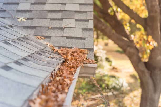 Denver Gutter Cleaning - Front yard clogged gutter near roof shingles of residential house full of dried leaves and dirty need to clean-up. Blocked drain pipe on rooftop. Gutter cleaning and home maintenance concept