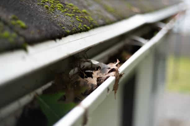 Leaves and debris in clogged gutter