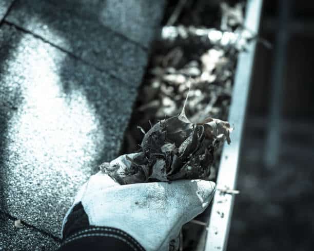 Top view man hand in gloves cleaning house gutter from leaves and dirt. Roof gutter cleaning near shingles roof in summer time