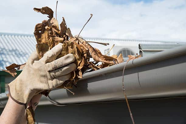 Person cleans the leaves from the gutter during Autumn