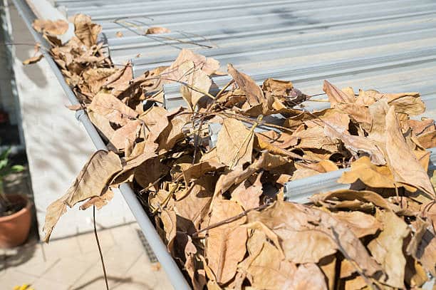 Leaves block the gutter during Autumn