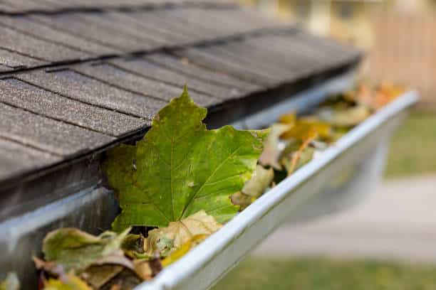 landscape, no people rain gutter