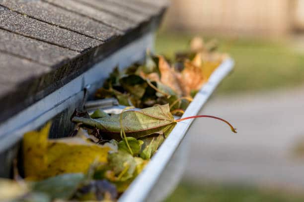 Denver Gutter Cleaning landscape, no people