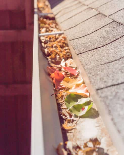 shallow-dof-colorful-green-yellow-orange-red-autumn-leaves-clogged-house-gutter-near-dallas-4